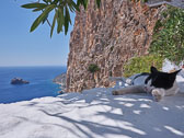 Greek Islands