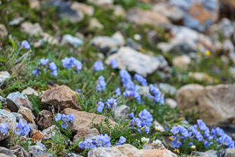 Svalbard - Spitzbergen