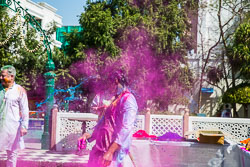 Holi Pictures